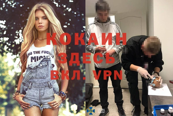 молекула духа Магадан