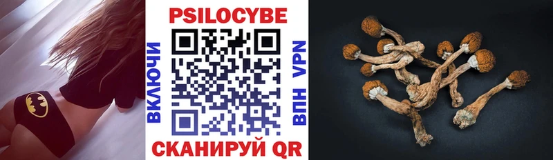 купить наркоту  мориарти наркотические препараты  Галлюциногенные грибы Psilocybine cubensis  Абинск 